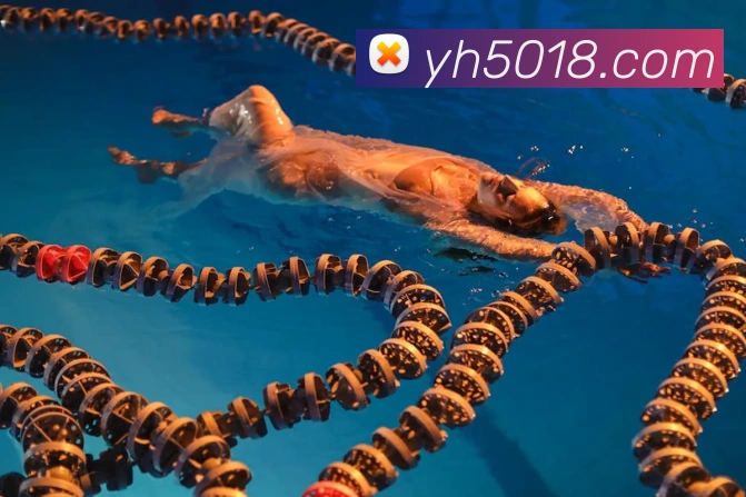 银河娱乐官网服务体系